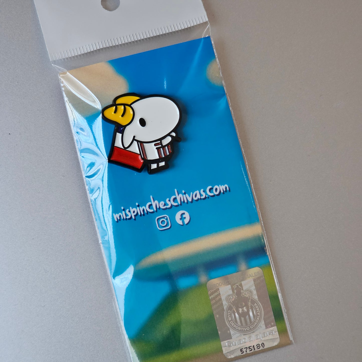 Pin Metalico Bandera